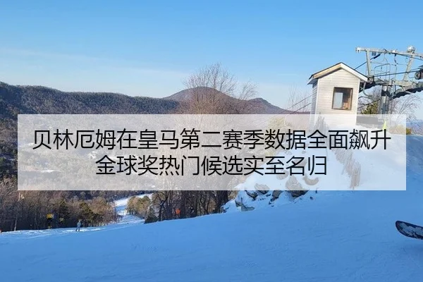 bei-lin-e-mu-zai-huang-ma-di-er-sai-ji-shu-ju-quan-mian-biao-sheng-jin-qiu-jiang-re-men-hou-xuan-shi-zhi-ming-gui-2-824.jpg
