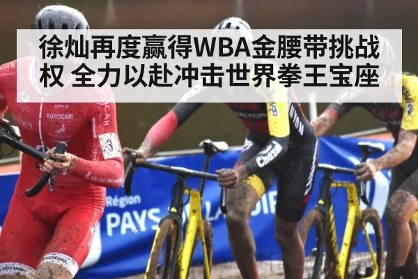 徐灿再度赢得WBA金腰带挑战权 全力以赴冲击世界拳王宝座