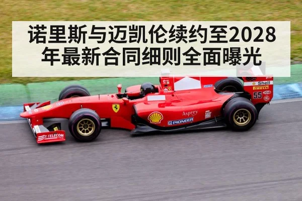 Formula 1 race